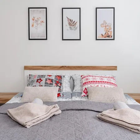 Z Parkingiem Apartment