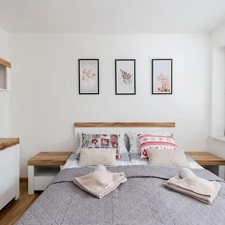 Apartment Z Parkingiem *